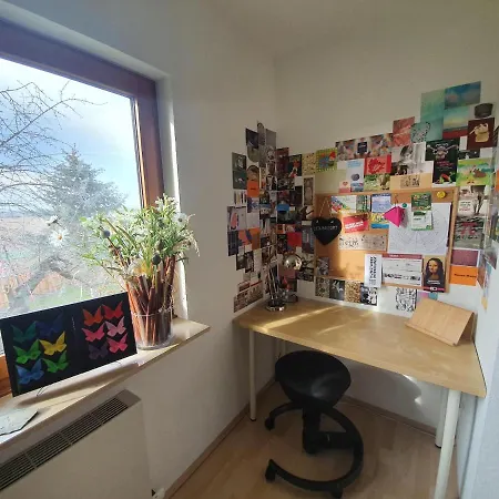 Familienfreundliches Dachgeschoss-apartment Am Stadtrand Von Leipzig